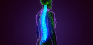 Stem Cell Therapy for Damaged Spinal Cord