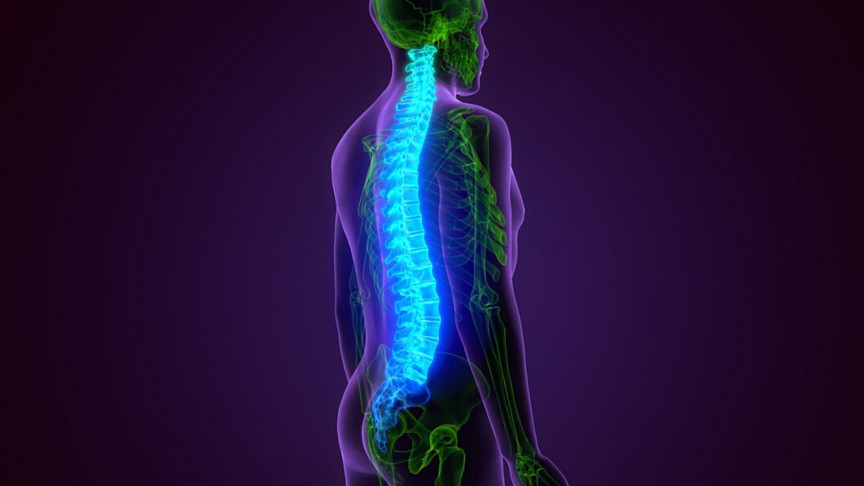 Stem Cell Therapy for Damaged Spinal Cord