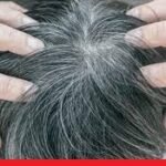 wellhealthorganic.com/know-the-causes-of-white-hair-and-easy-ways-to-prevent-it-naturally
